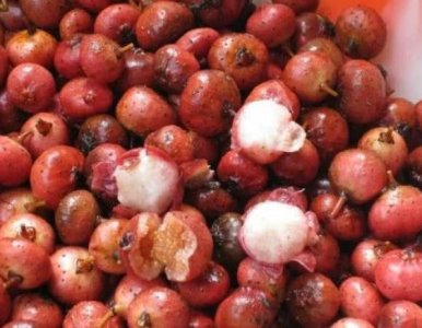 ​农村的一种野生水果，要吃得趁早，否则容易腐烂