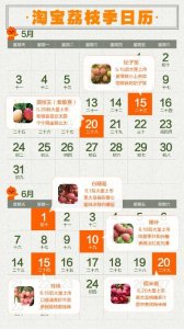 ​个头大得像鸡蛋，杭州人爱吃的“顶级荔枝”马上来了