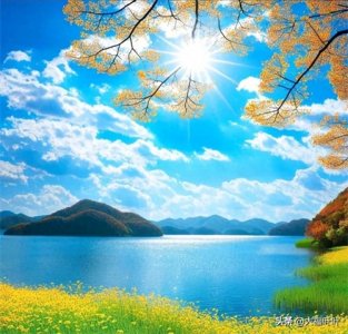 ​顺风顺水好运头像｜背靠青山，聚水旺财，枝繁叶茂，幸福美满！