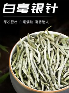 ​白茶之最--白毫银针
