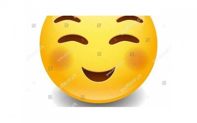 ​四型人格老虎 孔雀