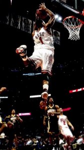 ​花有重开日，玫瑰绽放时！德里克.罗斯高清无水印壁纸分享