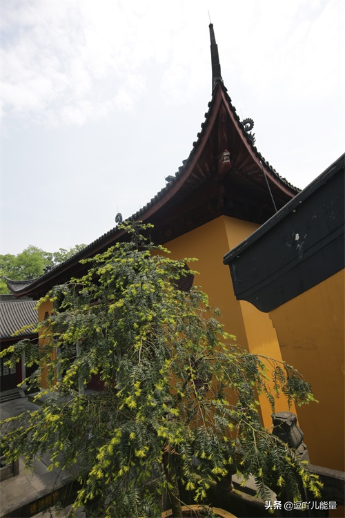 灵隐寺的对联个个是千古绝对，有幸拍下一副最清晰的对联作为收藏