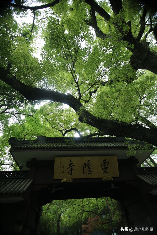 灵隐寺的对联个个是千古绝对，有幸拍下一副最清晰的对联作为收藏