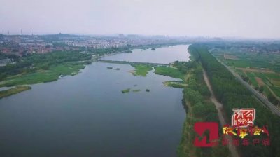 ​中国生姜看莱芜！“姜老大”是如何炼成的？