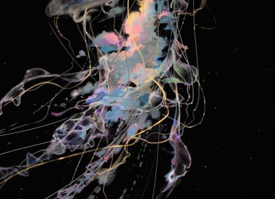 罗云熙助理，罗云熙的助理发微博被疑是恋爱视角