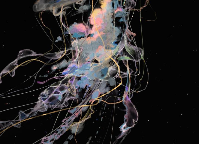 罗云熙助理，罗云熙的助理发微博被疑是恋爱视角