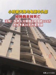 ​乌龟坠楼砸死幼童 饲主判赔128万：高空养宠需谨慎