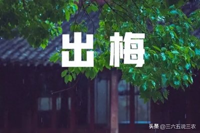 ​“出梅”时间已定，老话“出梅一生雷，黄梅去又回”，有啥说法？