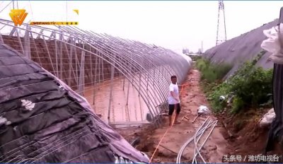 ​台风导致寿光、诸城、青州受灾：道路积水、村庄内涝、农作物被淹