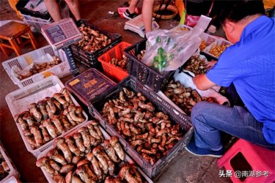 ​云南松茸一公斤2万6暴跌至200元，吃货们纷纷“剁手”抢菌