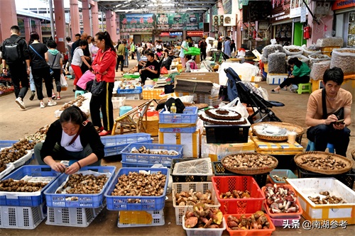 云南松茸一公斤2万6暴跌至200元，吃货们纷纷“剁手”抢菌